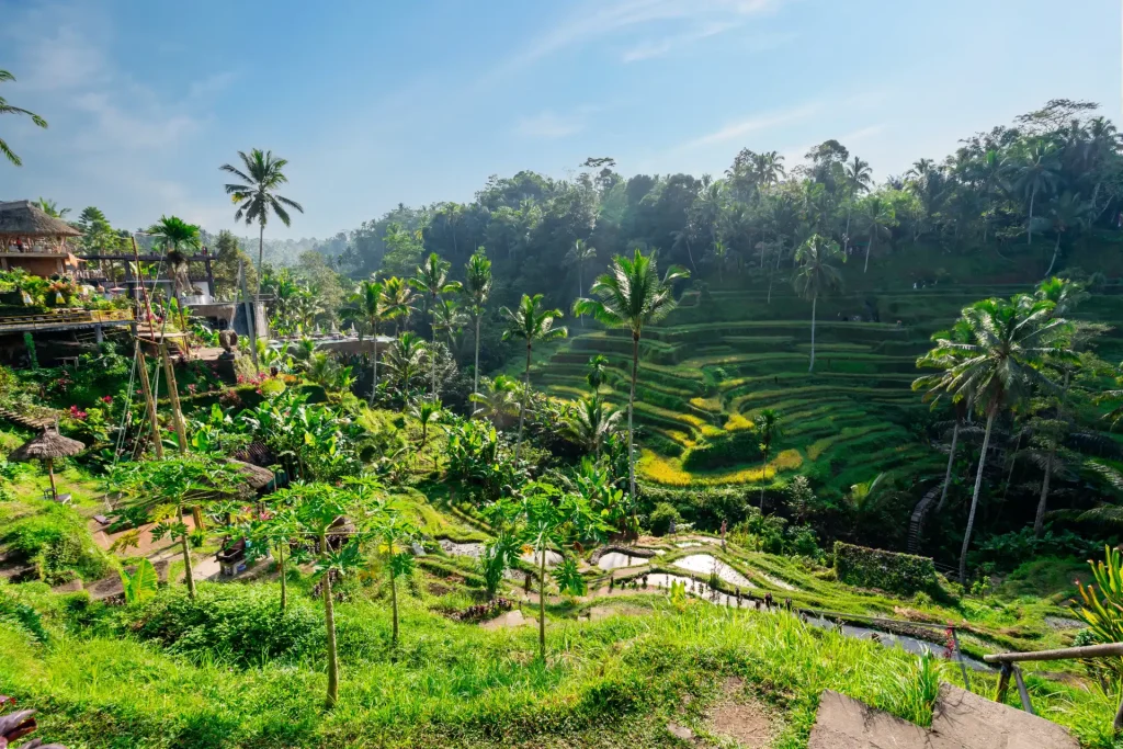 Ubud