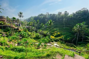 Ubud